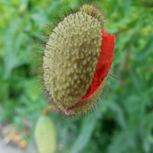 online schlagzeug lernen