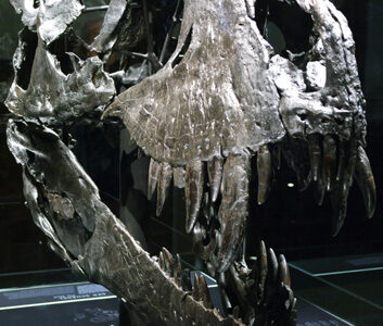 natürlicher rhythmus